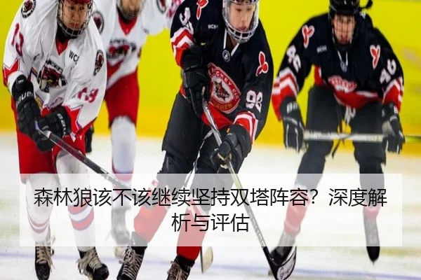 森林狼该不该继续坚持双塔阵容？深度解析与评估